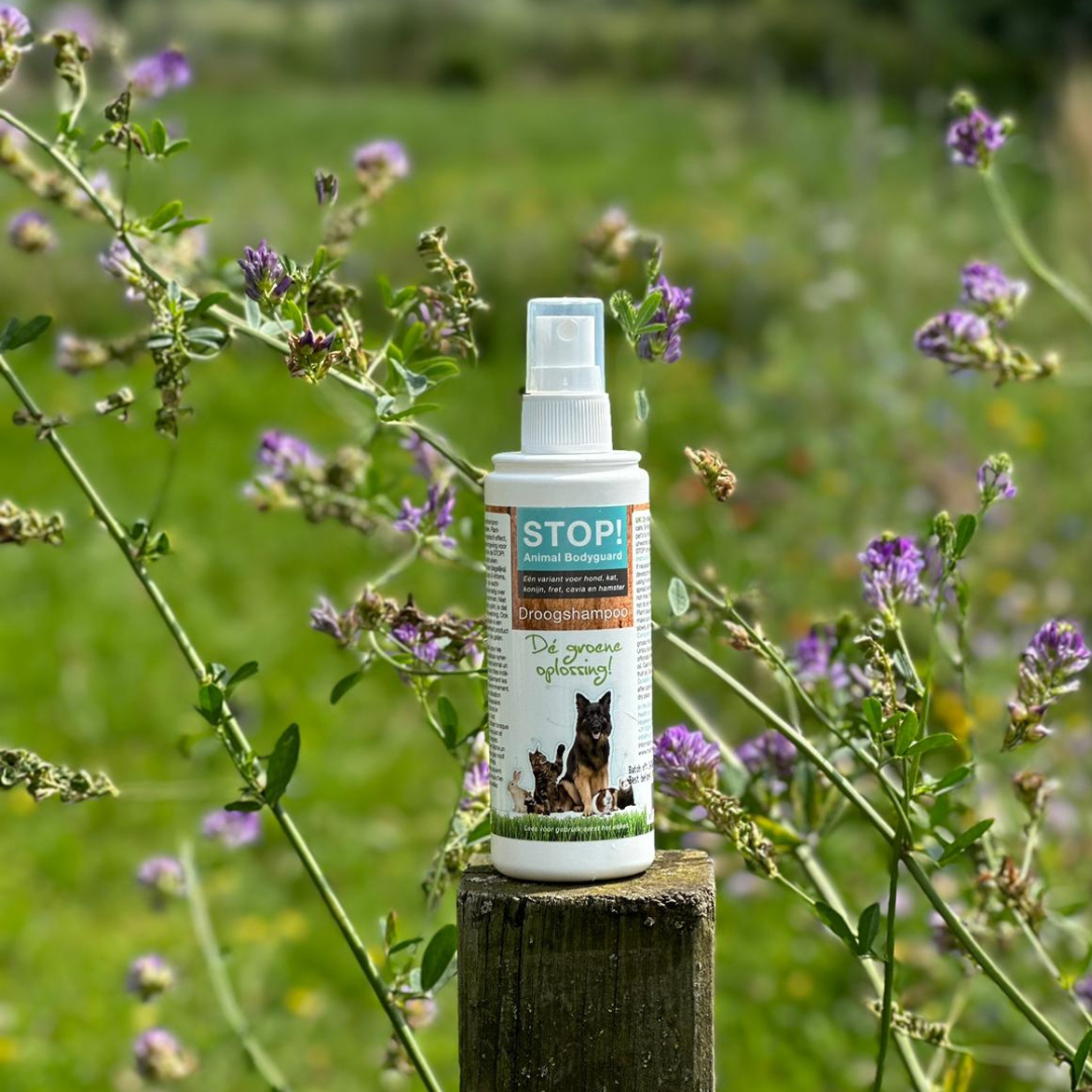 STOP! Droogshampoo 125 ml