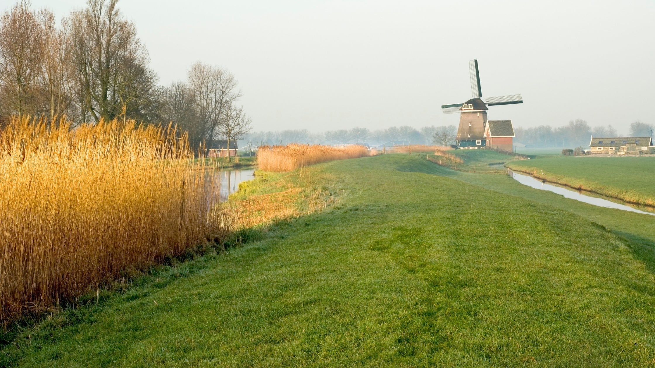 Zijn teken ook in de winter een risico?